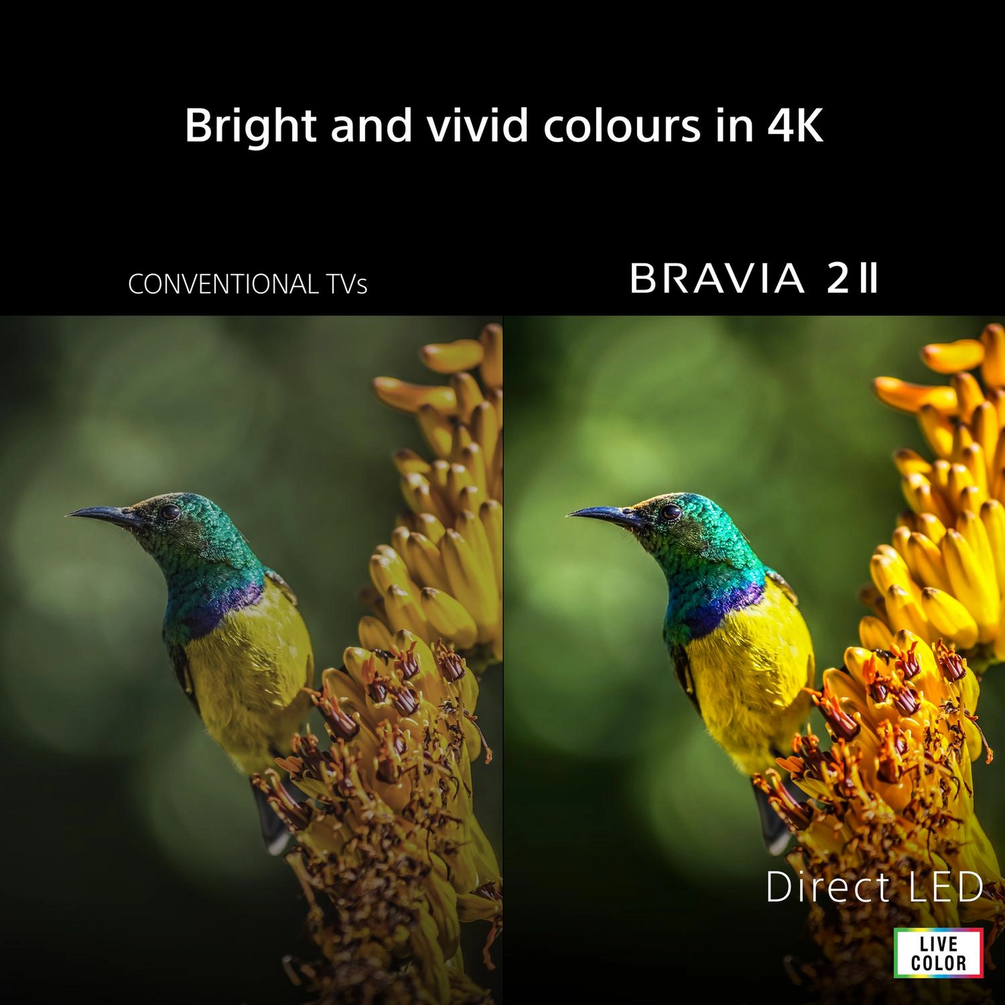 Sony K65S25M2PB.UKA 65" 4K BRAVIA 2 II Direct LED Google TV - Image 2 Sony K65S25M2PB.UKA 65" 4K BRAVIA 2 II Direct LED Google TV - Image 2